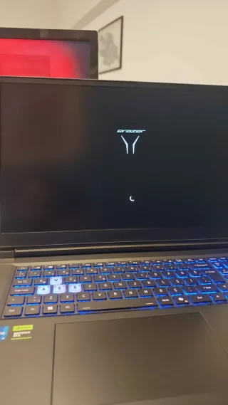 M** Y.