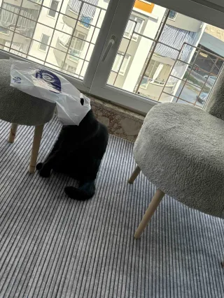 Ç** T.